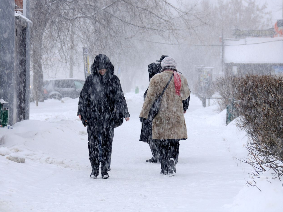 Экстренное предупреждение МЧС: дождь, снег, метель и ветер обрушатся на Подмосковье