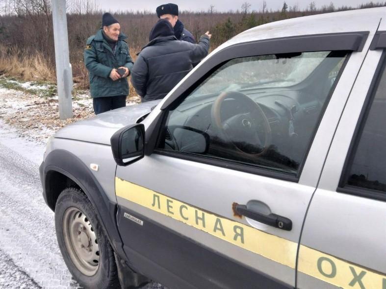 Отца, слышишь, вяжут, а я убежал: месть елок, или Предновогодние приключения дровосеков в Подмосковье