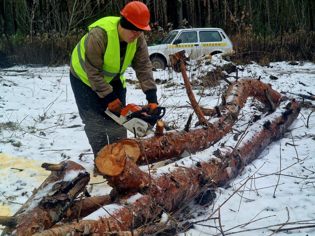 В Воскресенске завершают санитарную рубку леса на Рабочей улице