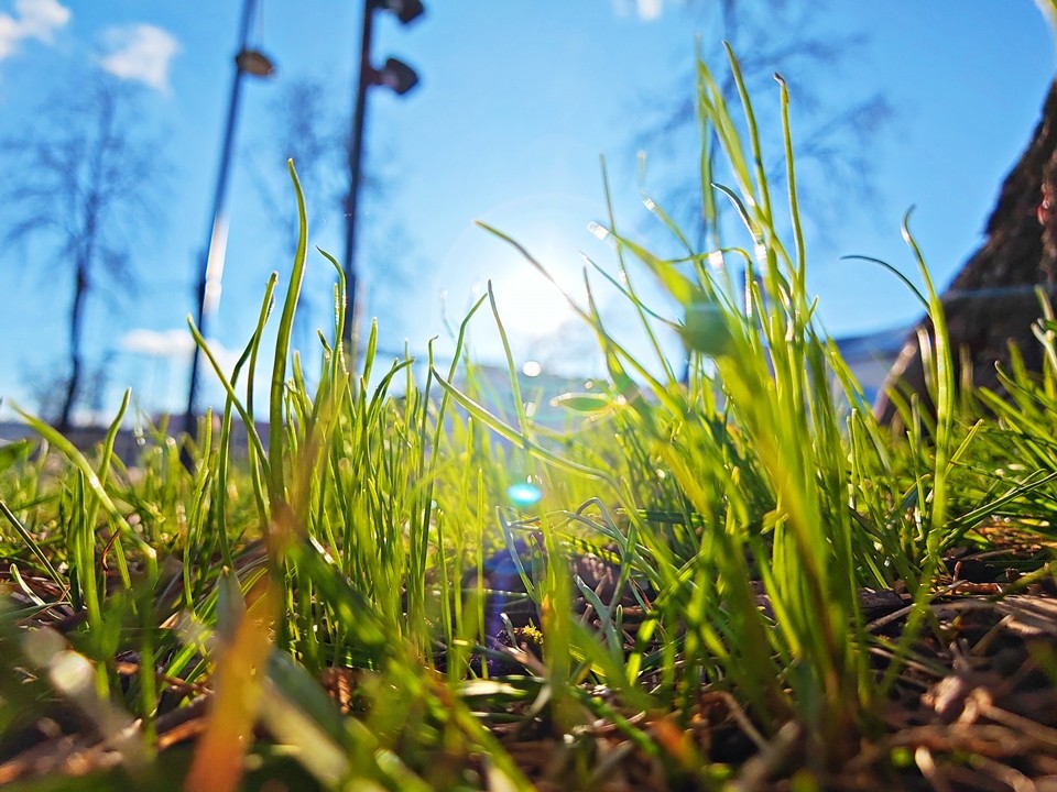 Весна 2026 года в Подмосковье может оказаться непривычно теплой: снег сойдет до Пасхи