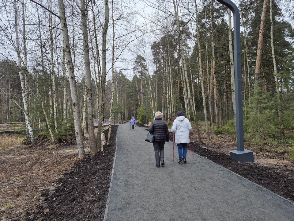 Жители Орехово-Зуева оценили изменения в лесопарке «Стрелки»