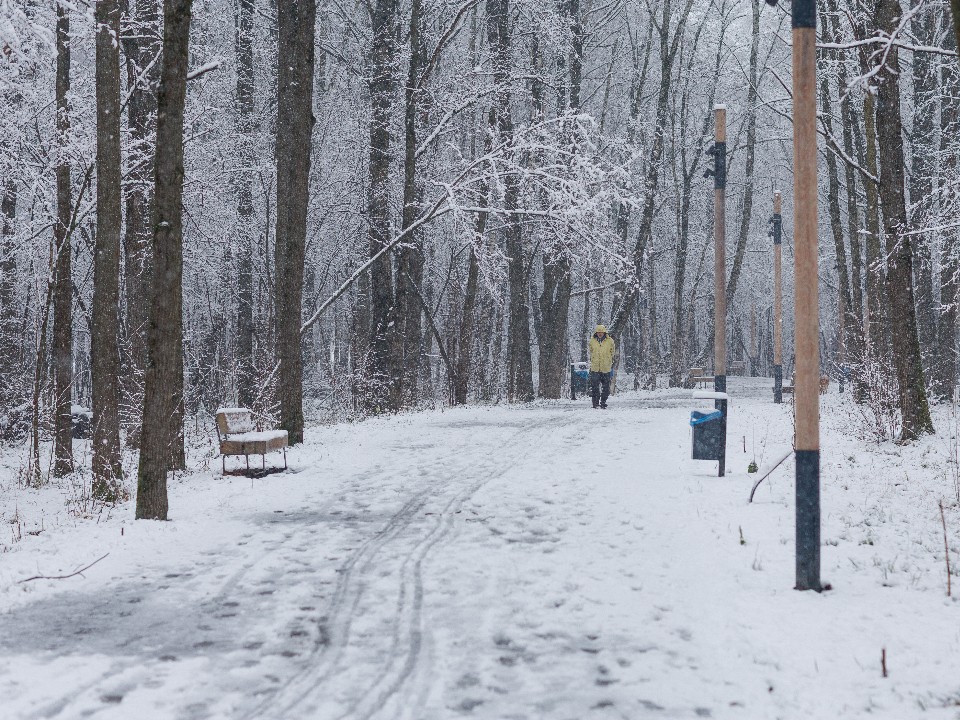Самая холодная ночь зимы близко: в Московском регионе ждут до -10