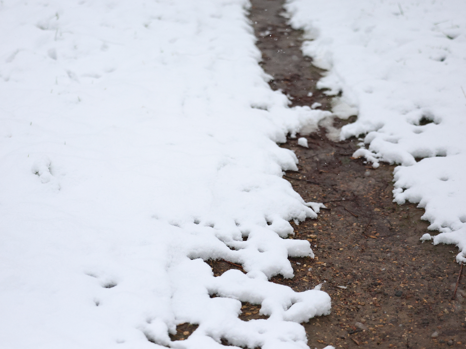 Когда ждать зиму? Синоптик Тишковец назвал 13 декабря ключевой датой для Подмосковья
