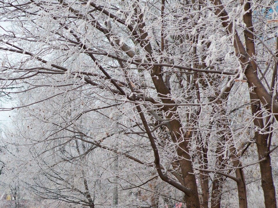 Новый год начнется в Подмосковье с похолодания