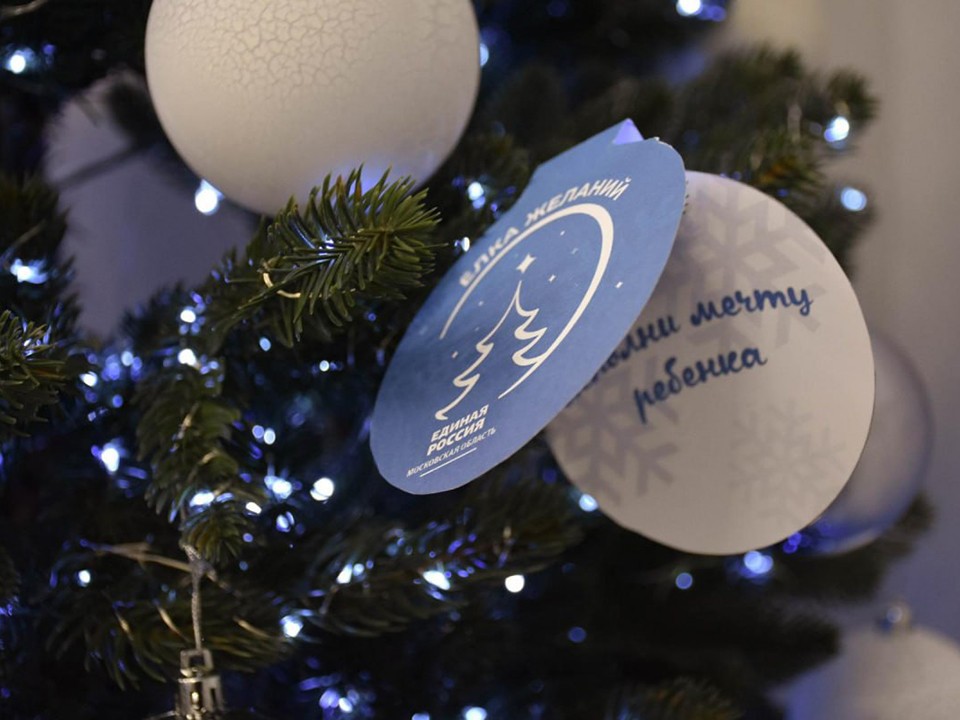 Депутат исполнил мечту подростка на «Елке желаний» в Пушкино