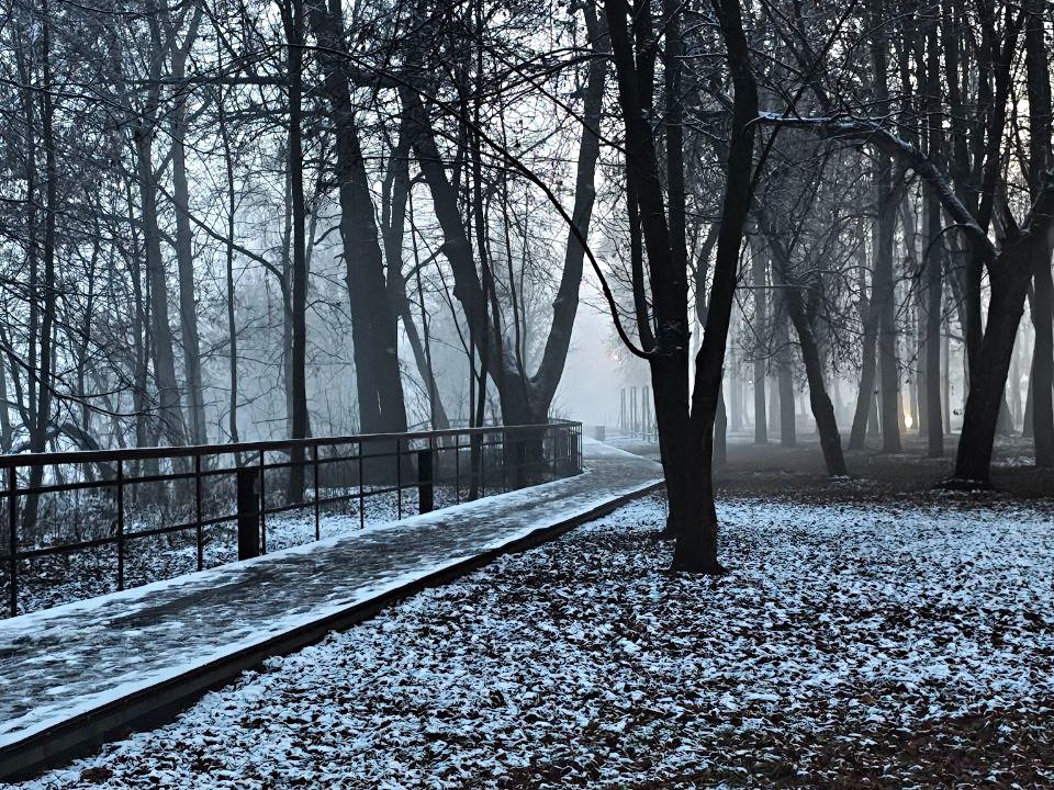 Синоптики пообещали утро 4 декабря в стиле фильмов-катастроф: туман превратит привычные маршруты в опасный лабиринт