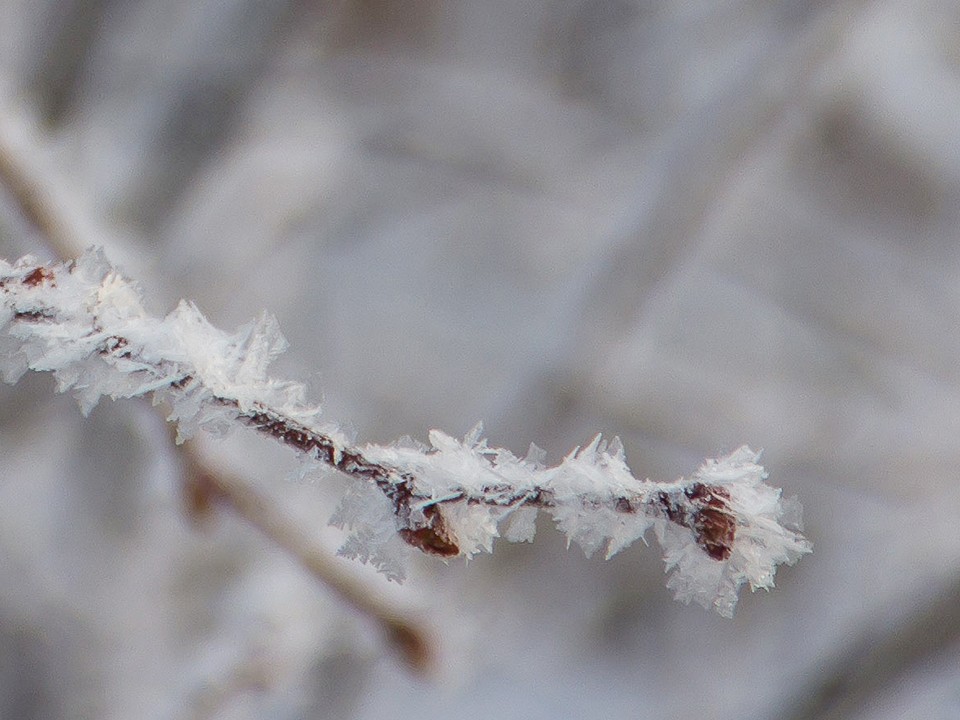 Какой народный праздник отмечают 29 декабря 2025: что можно и нельзя делать на день Аггея