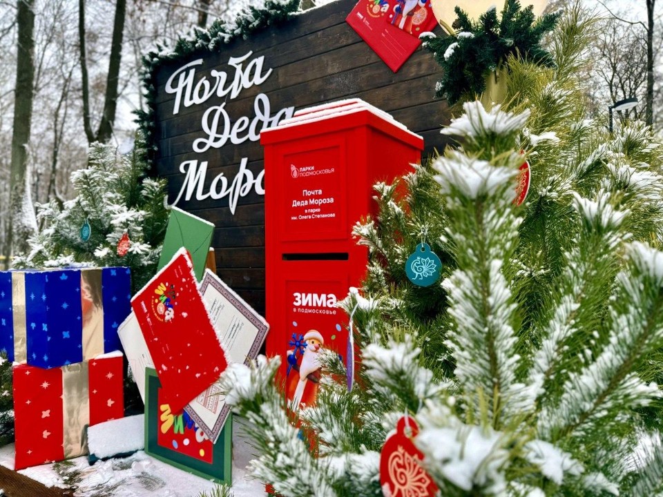 «Дед Мороз рекомендует»: какие парки Подмосковья получат знак качества от зимнего волшебника