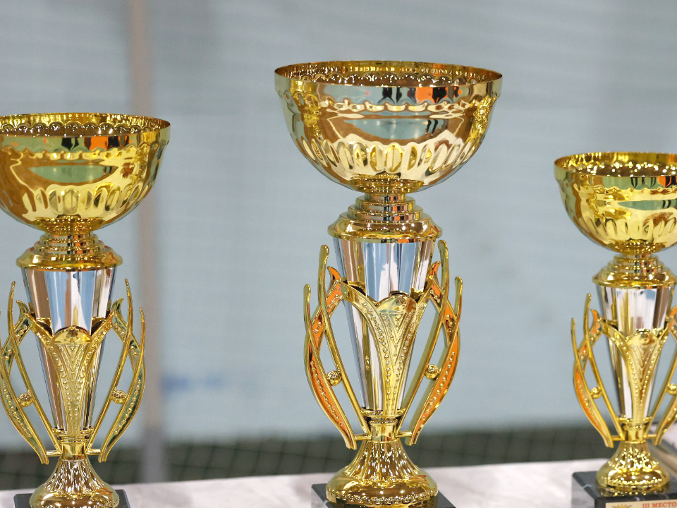 Спортсмены из Дмитрова завоевали медали юношеского Кубка России