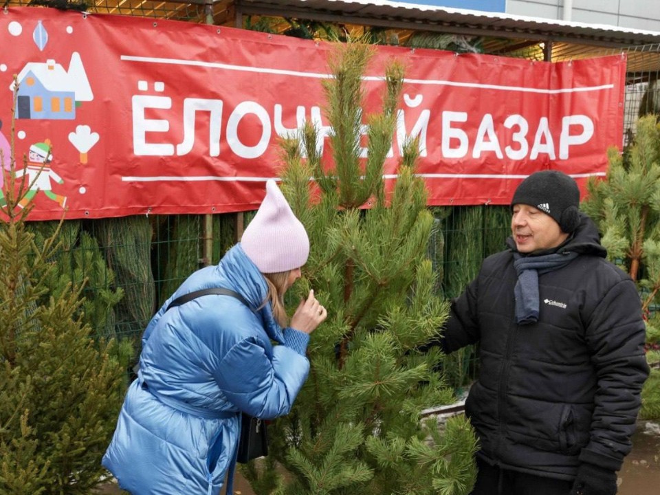 Местные — значит свежие: где в Подольске купить качественное дерево на Новый год