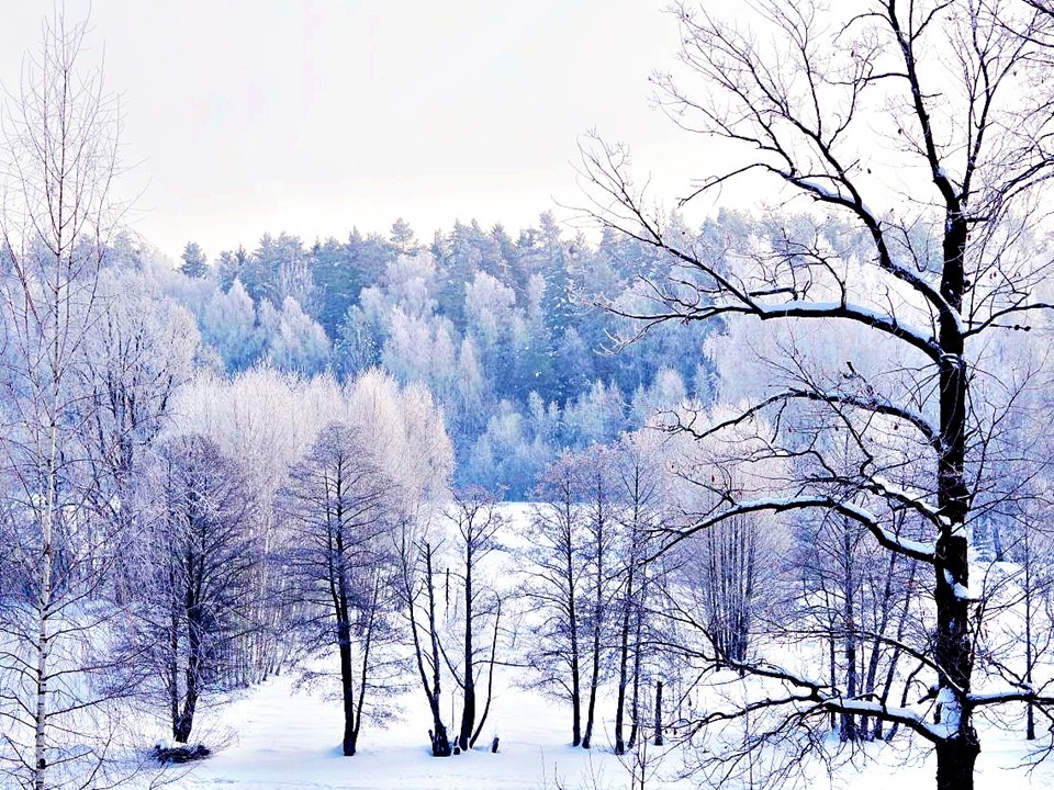 Тепло до +3 и гололед: прогноз погоды в Подмосковье на 19 декабря