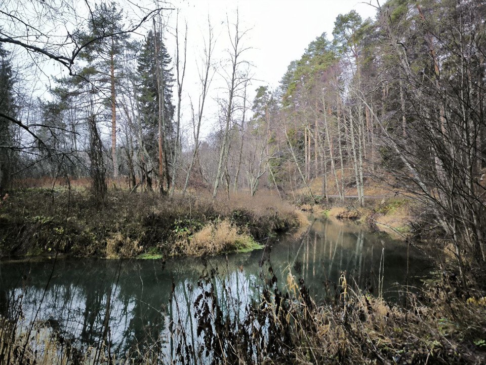 Какие водоемы очистят в Подмосковье в 2026 году