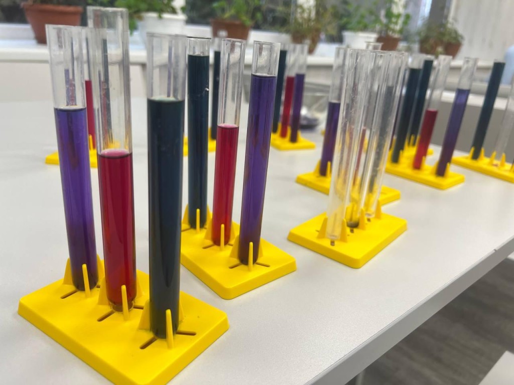 Урок как приключение: в химкинском лицее превратили науку в увлекательное соревнование