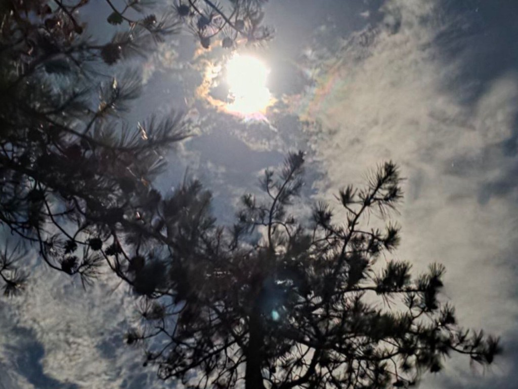 Души предков у окна? Что будет, если их не покормить 29 декабря на Агеев день