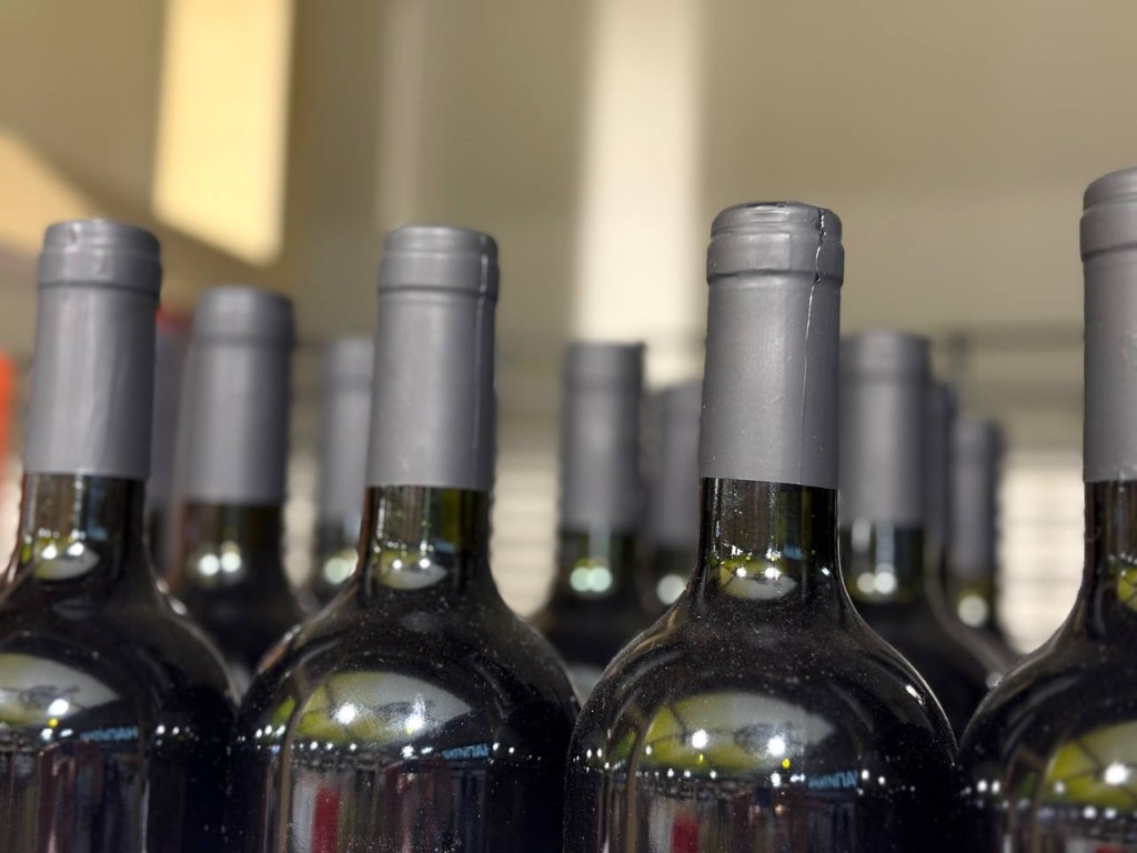 Алкоголь по расписанию: кафе и бары во дворах Подмосковья смогут продавать спиртное ограниченно