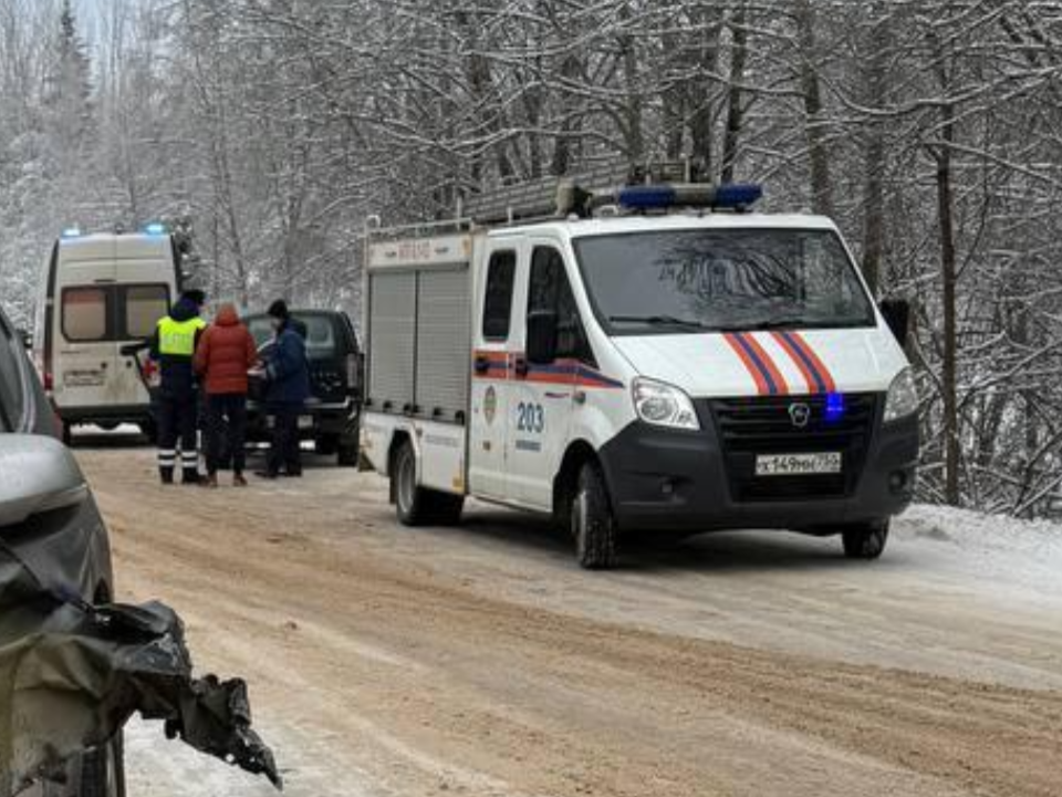 Серьезная авария на скользкой дороге около деревни Хорошово: спасатели помогли деблокировать девушку из искореженного авто