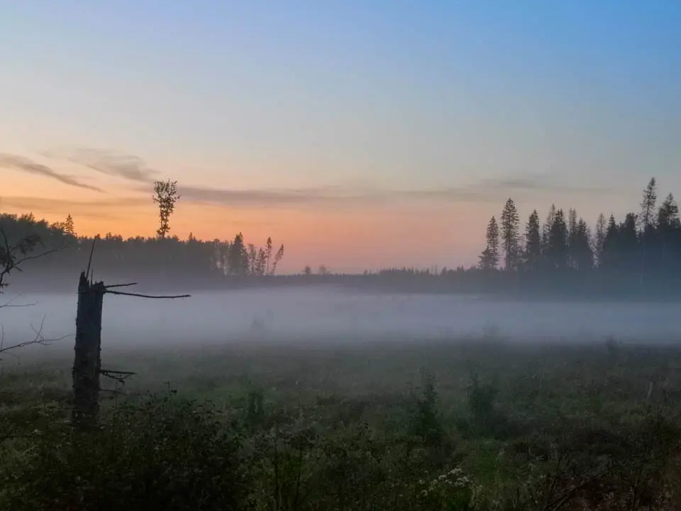 «Желтый» уровень погодной опасности введен в Подмосковье