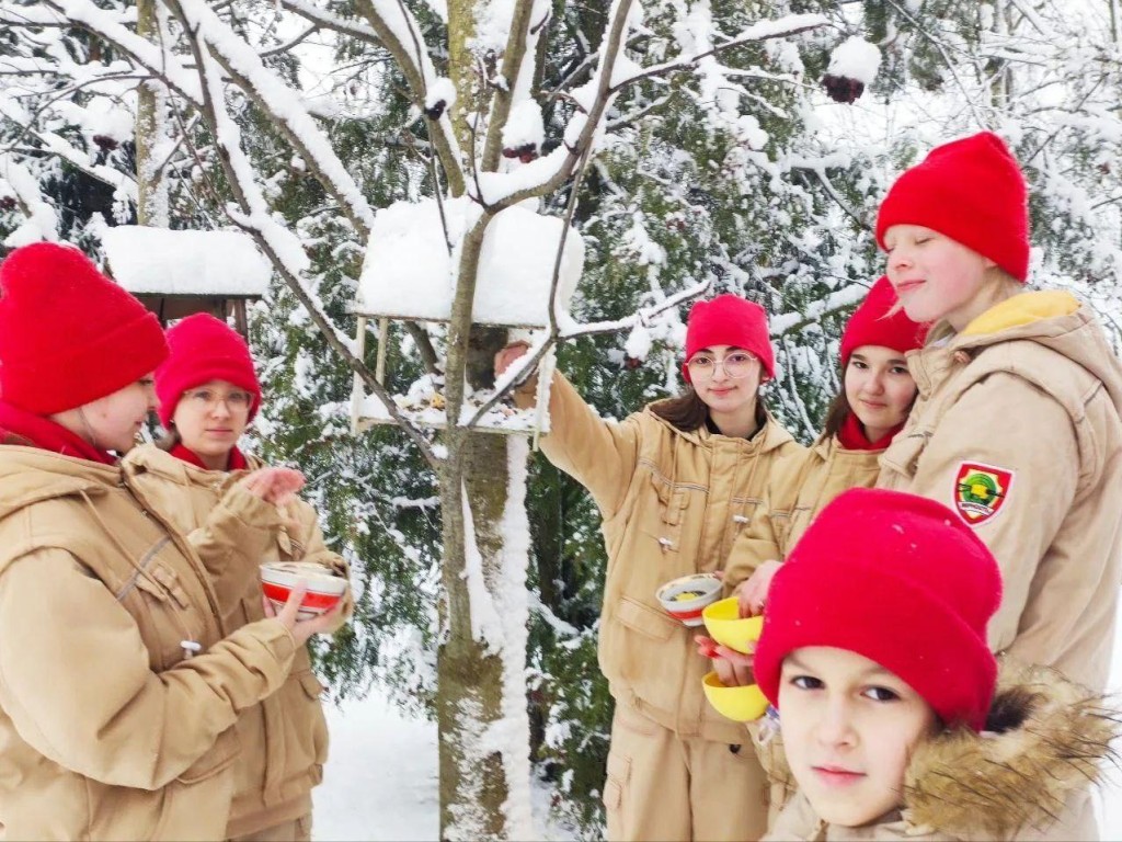 Юнармейцы Наро-Фоминска спасают зимующих птиц