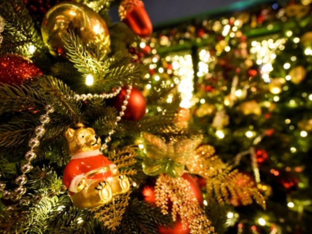 Путешествие в зимнюю сказку Нового года: в парке «Победа» гостей приглашают разгадать снежную тайну!