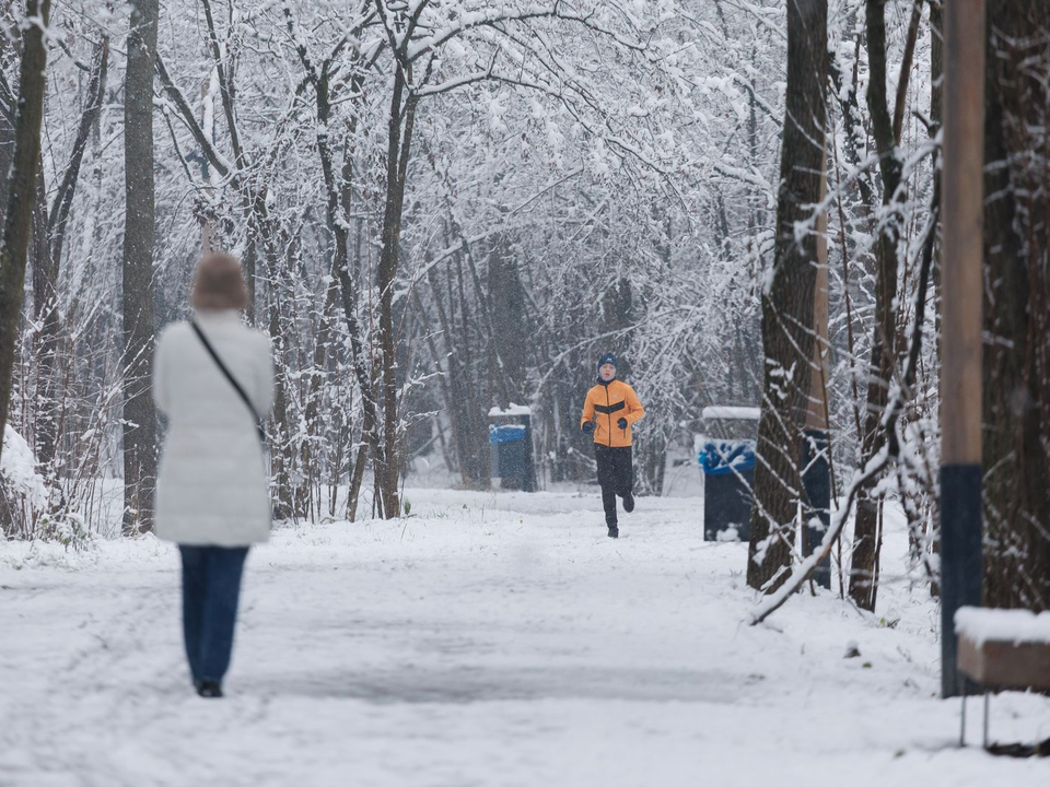 Сдует и заморозит: синоптик Позднякова раскрыла погодный сценарий в Подмосковье на ближайшие дни