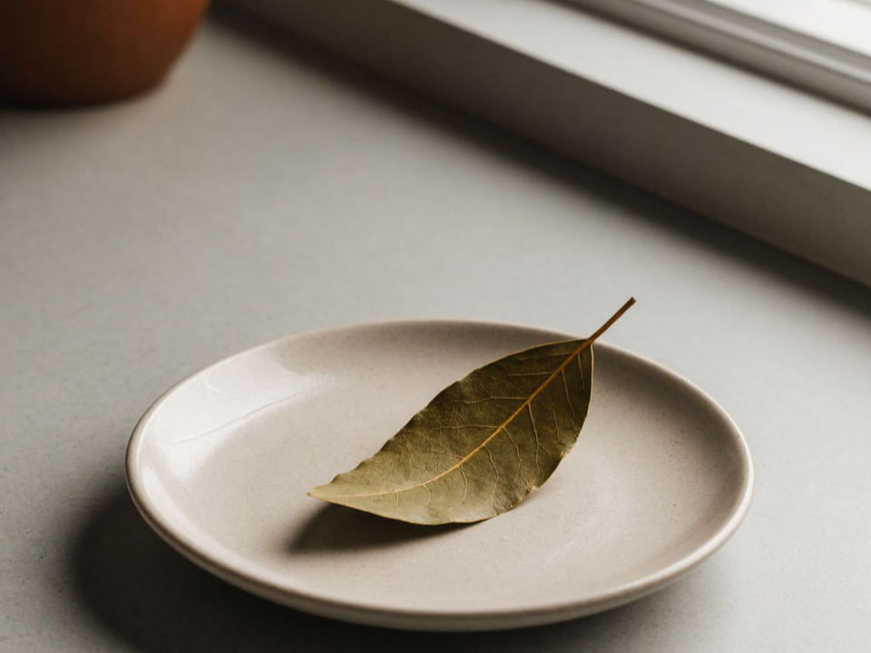 Почему лавровый лист кладут к батарее, а не в холодный угол — как это работает на самом деле