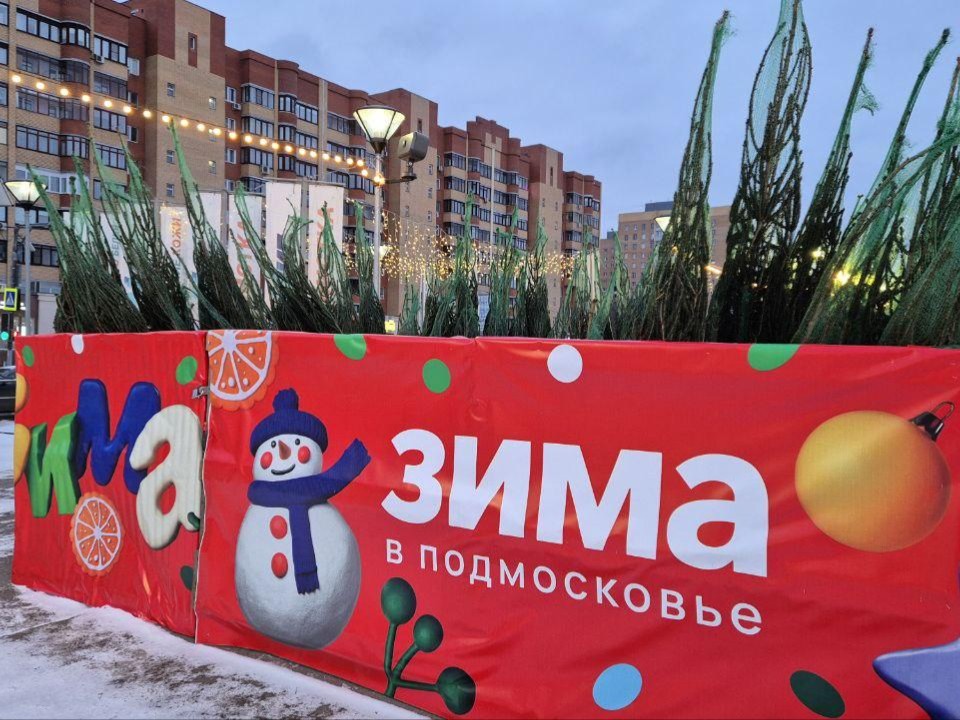 Елочные базары в Дубне: адреса по районам и цены на живые ели в 2025 году