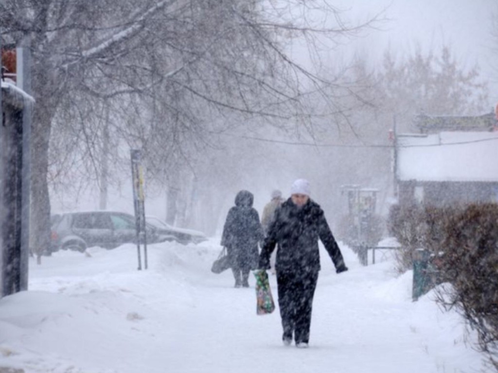 Снегопад придет в Подмосковье! Синоптик назвал день, когда на регион обрушится настоящая метель