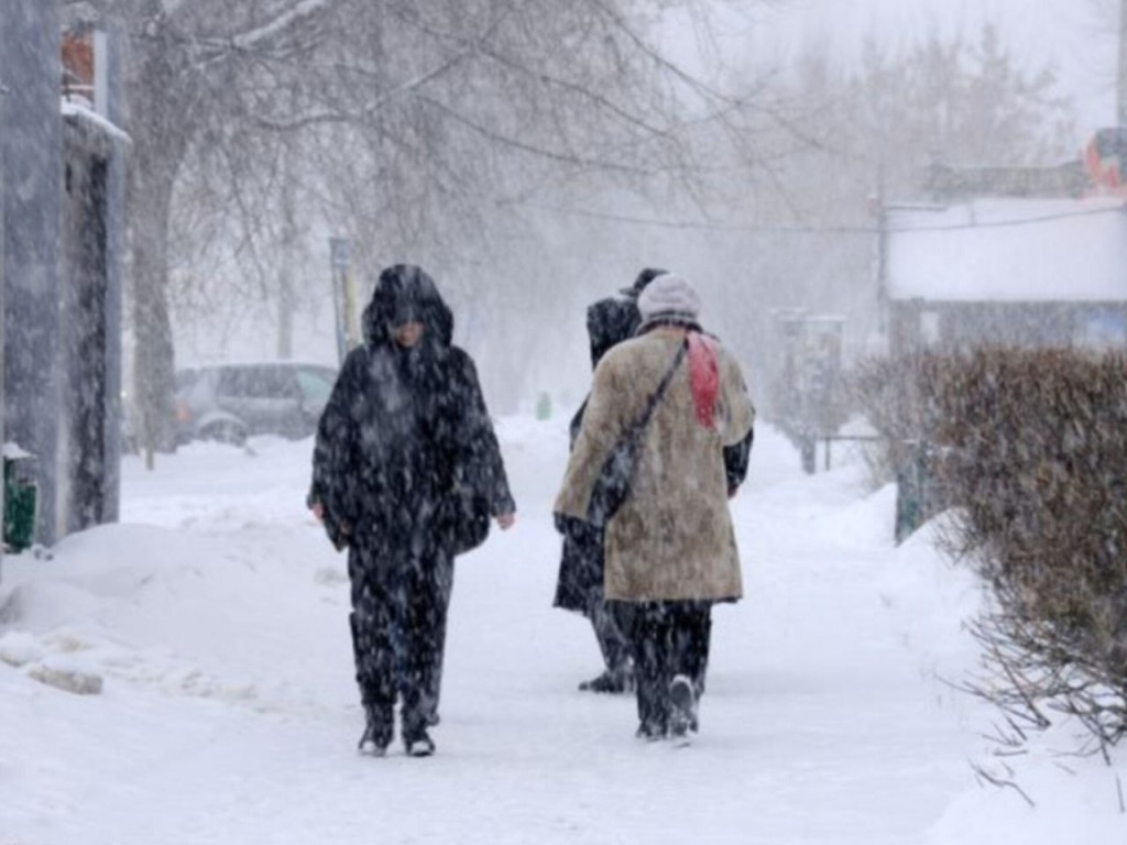 Будет ли снег на Новый год? Синоптик рассказал шокирующую правду о погоде в Подмосковье