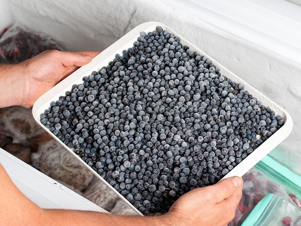 Подмосковье усилило позиции на рынке замороженных ягод: какие плюсы почувствуют жители уже этой зимой