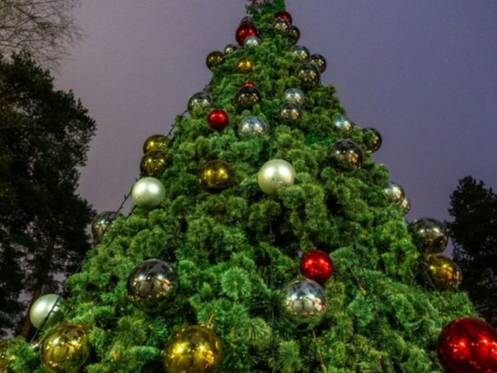 Серпантин, кино и дискотека: в Талдомском округе 1 января можно увидеть «Сокровища гномов» и потанцевать