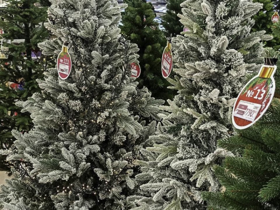 «У нас отмена»: почему живую елку нельзя сдать назад, а искусственную — запросто