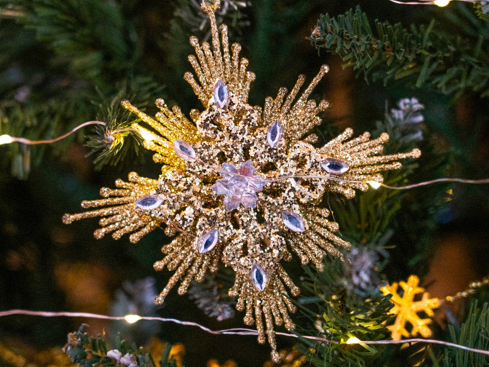 Жители Яропольца нарядили елку в лесу экоукрашениями