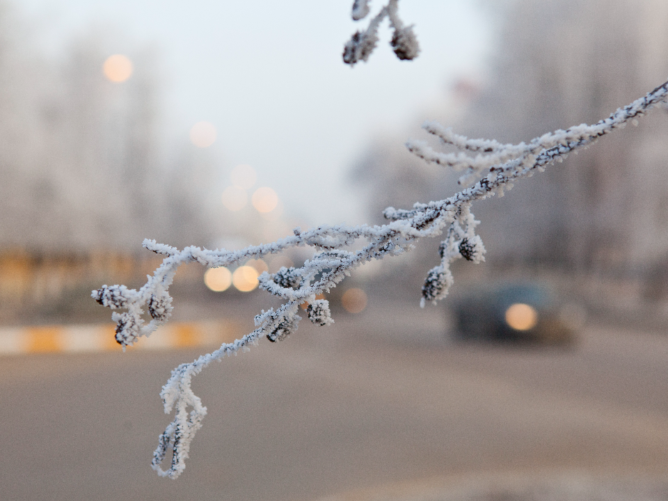 Ура, потеплеет! Синоптик рассказал, когда в Подмосковье после январских морозов температура упадет до 0°