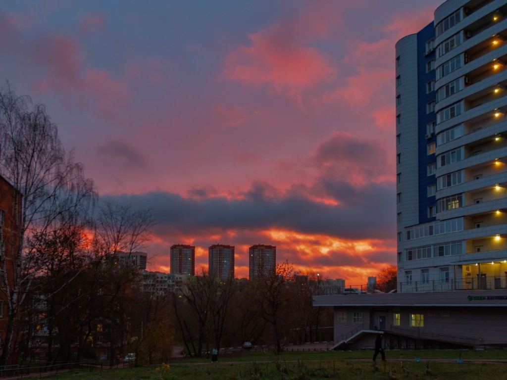 Солнце в дефиците: как пережить самую темную часть зимы без вреда для здоровья