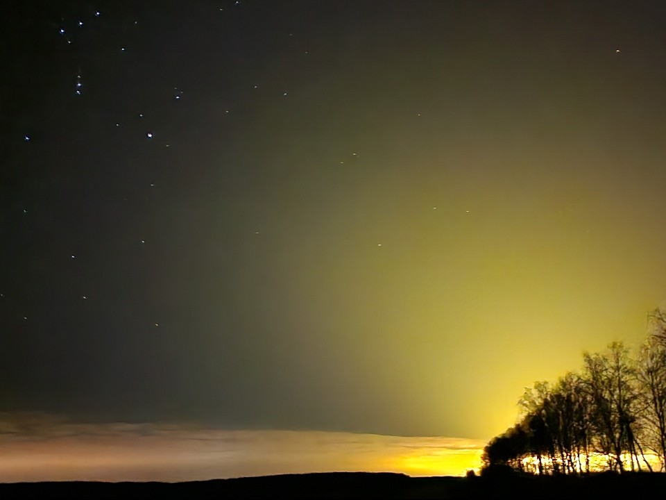 До 100 метеоров в час: когда в Можайске будет виден самый яркий звездопад года