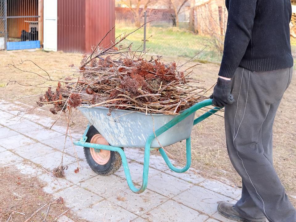 Из лесов Люберецкого округа за год вывезли более 500 кубометров мусора