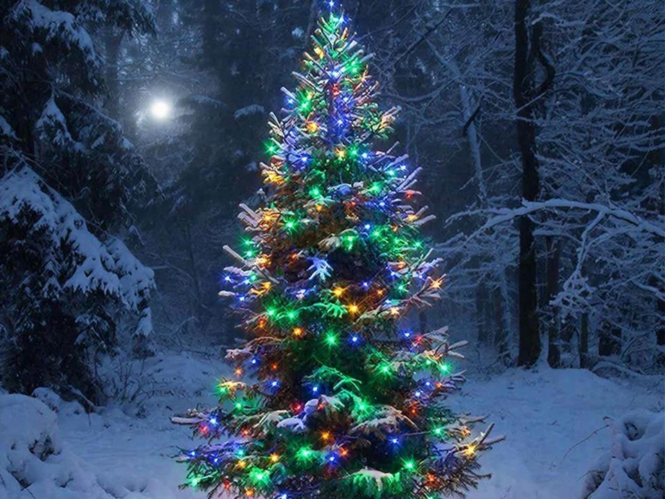 Елочка, не гори! Как встретить Новый год на даче без риска