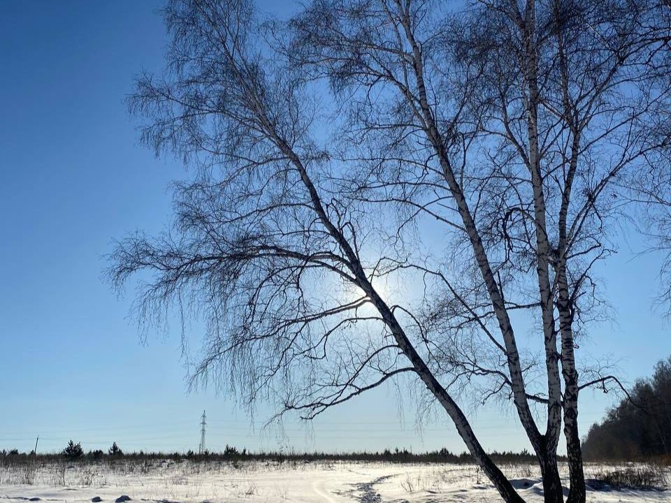 Убрать дом и подвести итоги года: что еще нужно сделать 21 декабря