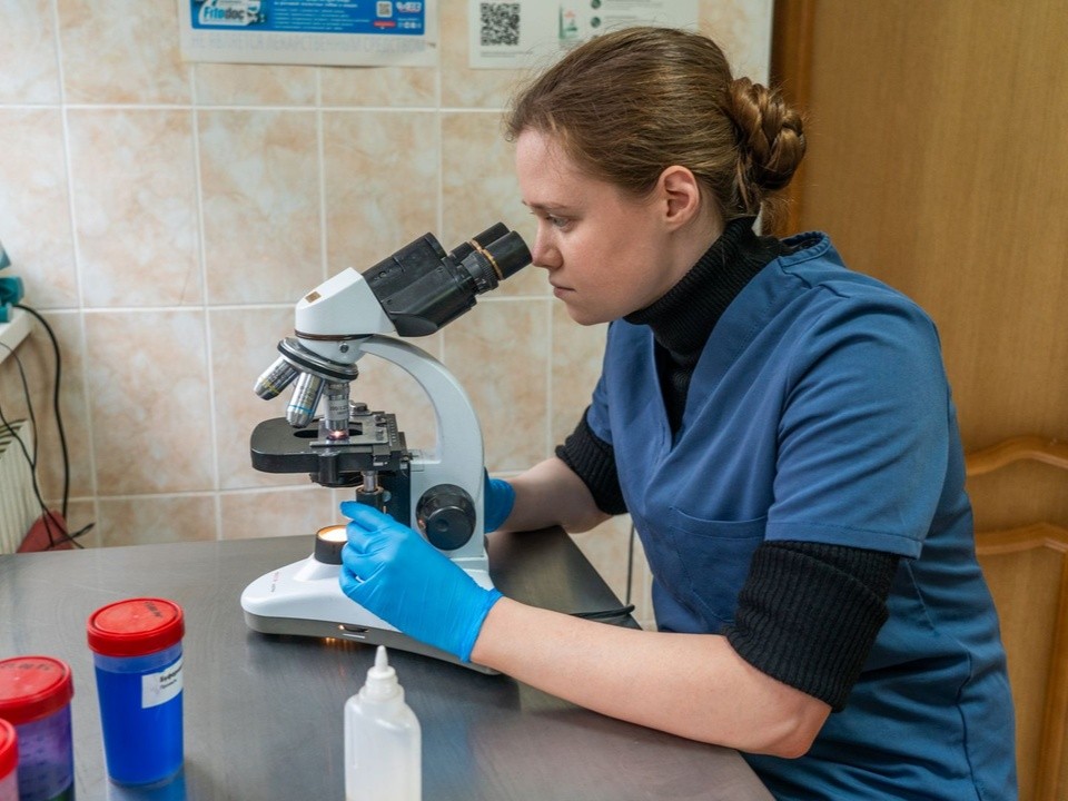 Дефицит кадров и лекарств бьет по кошельку: владельцы животных столкнулись с реальностью