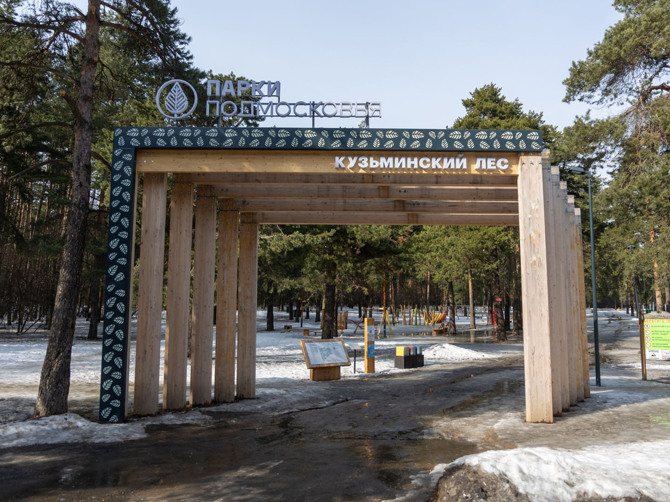 Итоги года для леса: 30 субботников и 20 рейдов провели в Котельниках для сохранения природы