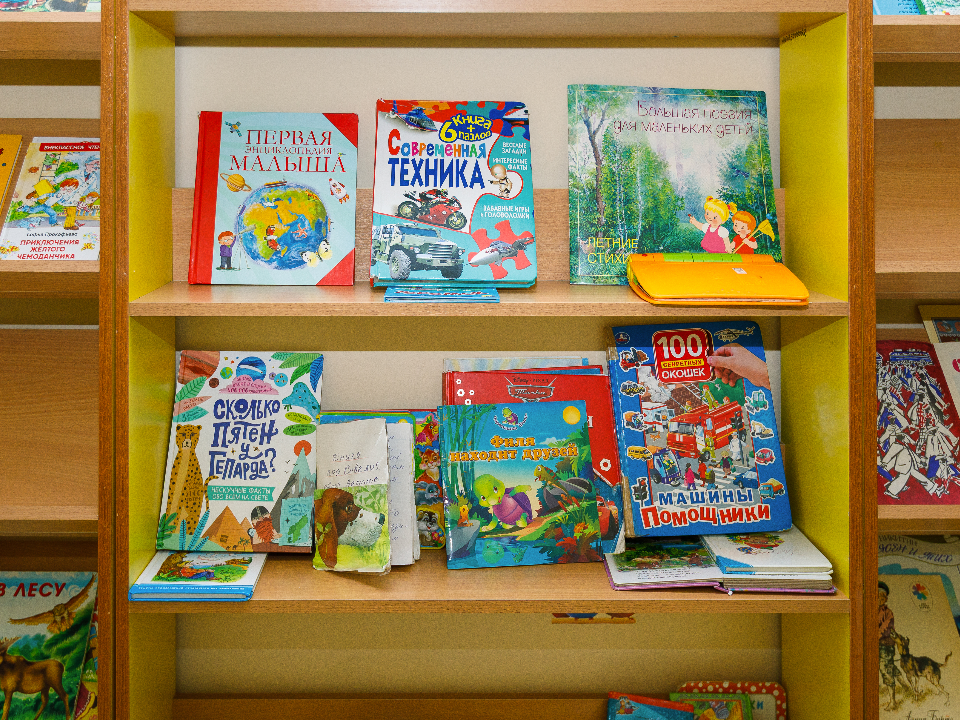 Окна детской библиотеки Фрязина украсили книги, посвященные зиме