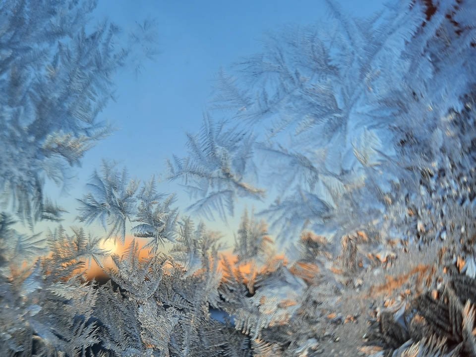 Температурный скачок с +2° до -14°: синоптик Тишковец рассказал, когда морозы нагрянут в Подмосковье