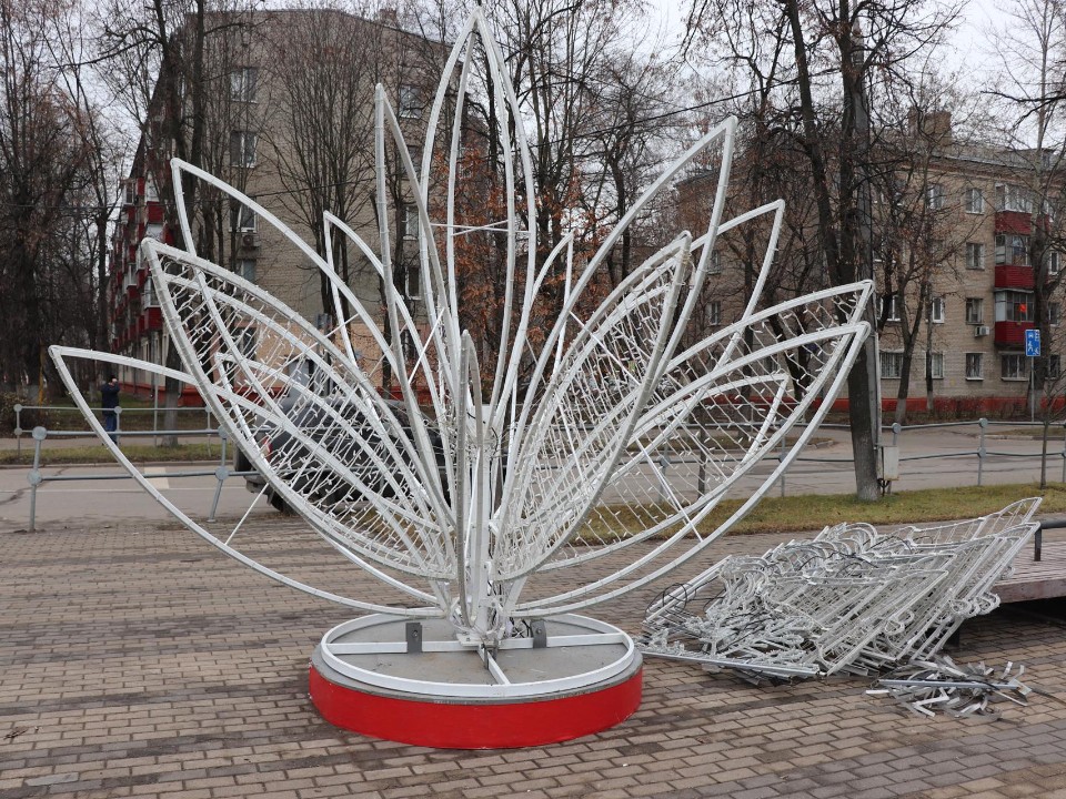 Символы чистоты, гармонии и жизни: уникальные лотосы «расцвели» в Реутове