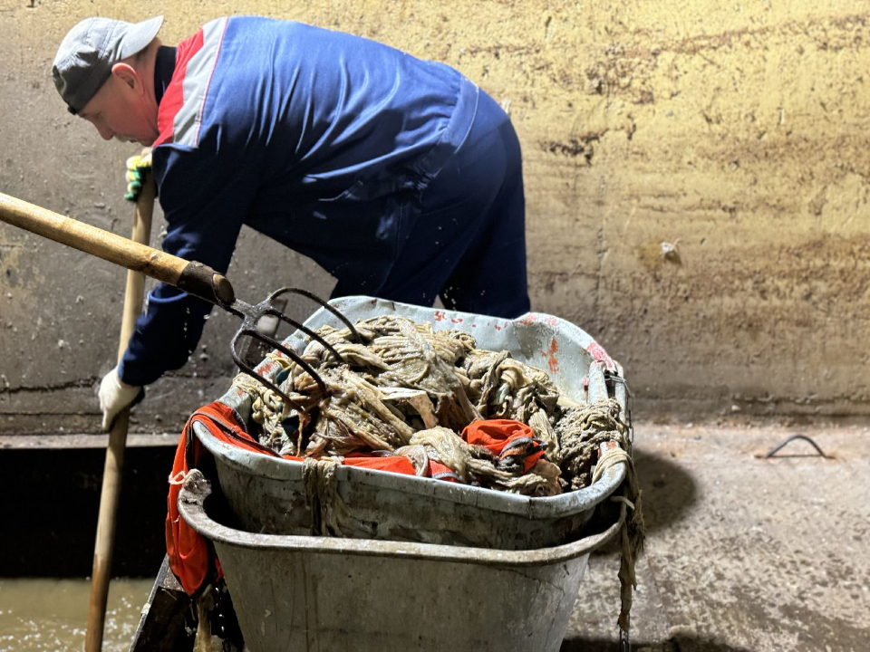 Исключительное право у туалетной бумаги: что и почему нельзя отправлять в унитаз