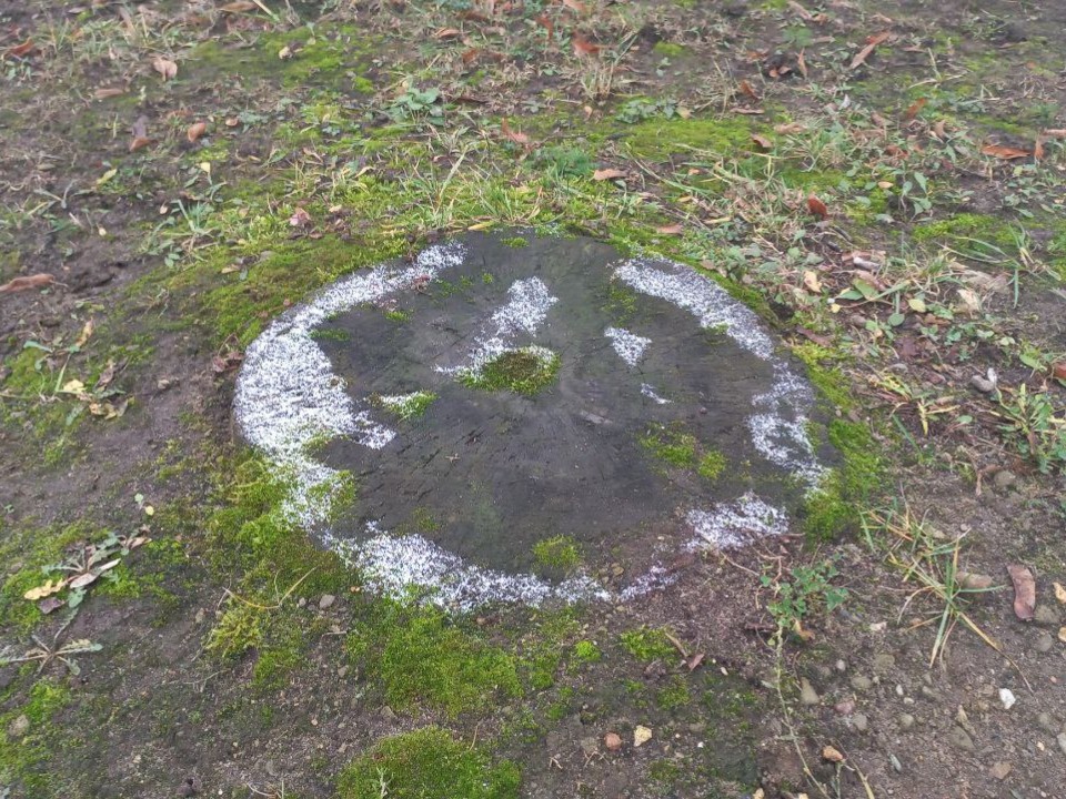 В центре Электростали нашли немного снега