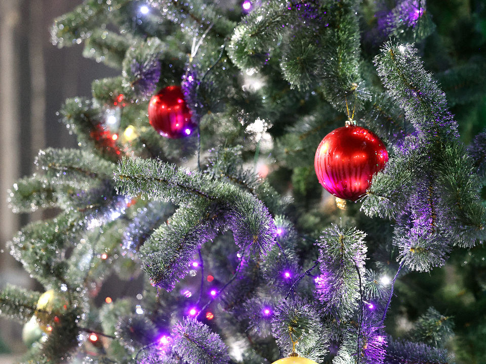 Зимняя сказка начинается: в парках Дмитровского округа новогодние огни зажгутся 1 декабря