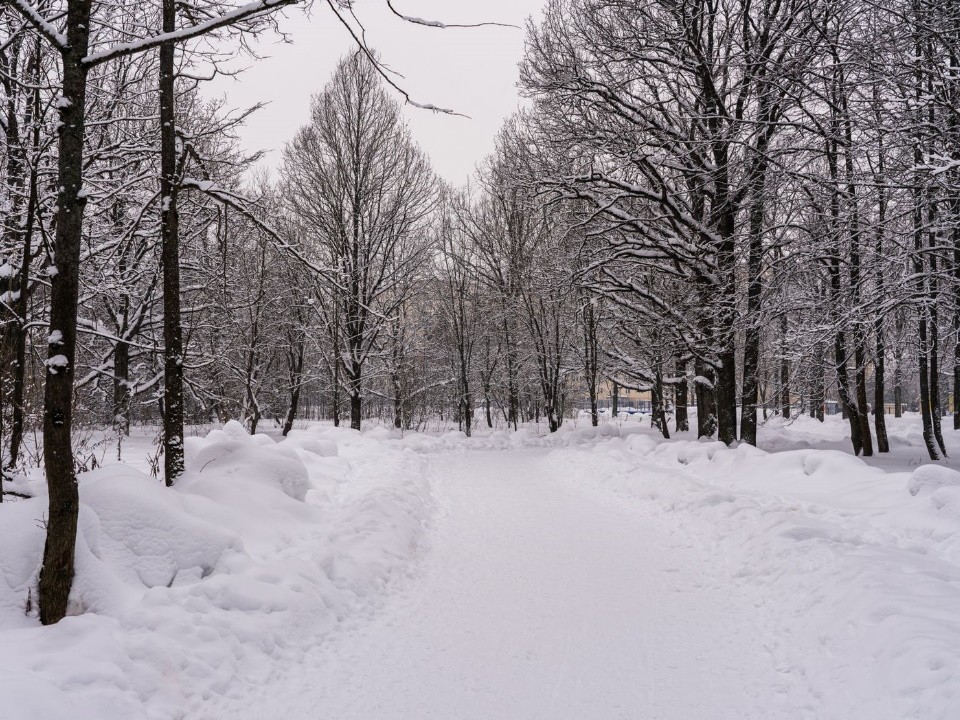 Снежное похолодание: Подмосковье встретит Новый год с морозами