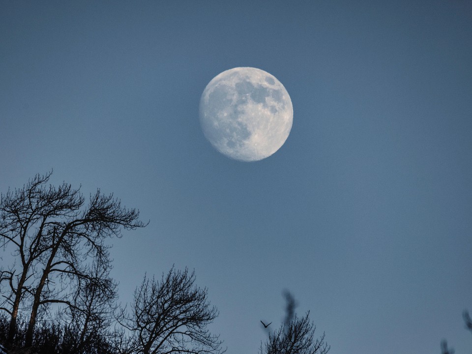 Какие тайны раскроет Холодная Луна: что будет с карьерой и личной жизнью