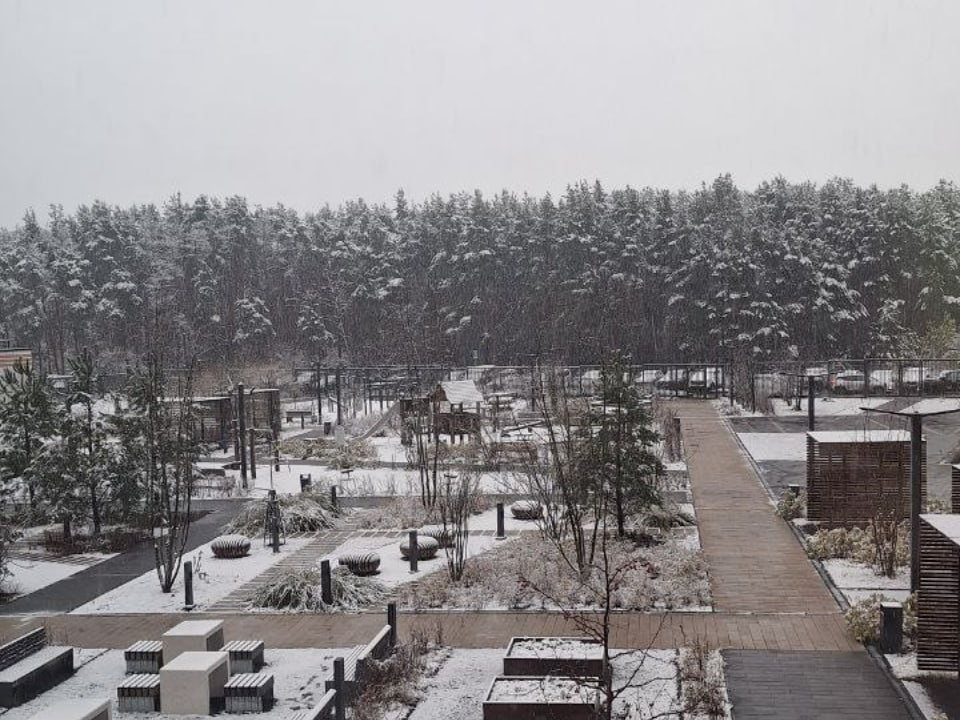 Сугробы уже в прошлом? Растает ли выпавший в столице снег до Нового года — ответ синоптика