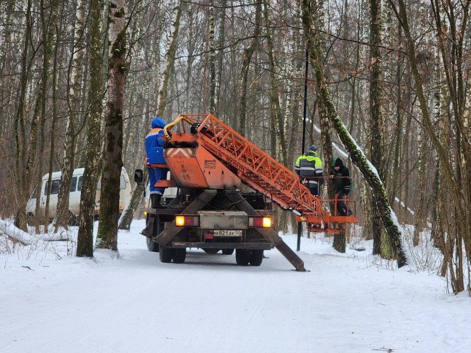 Программа «Здоровый и чистый лес» в Одинцовском округе: какие территории расчистят в 2026 году